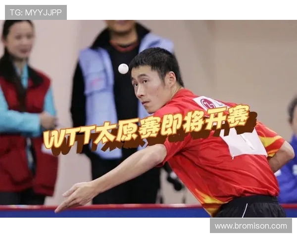 陈娜专访:从乒乓球新星到世界冠军的辉煌旅程回顾