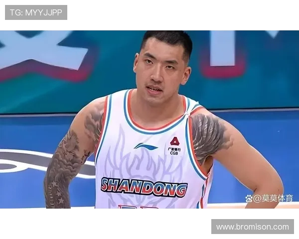 陶汉林:从篮球场上的拼搏者到社会公益的践行者之路