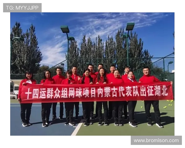 上海网球队在全国网球团队协作排行榜中荣获第七名的佳绩分析