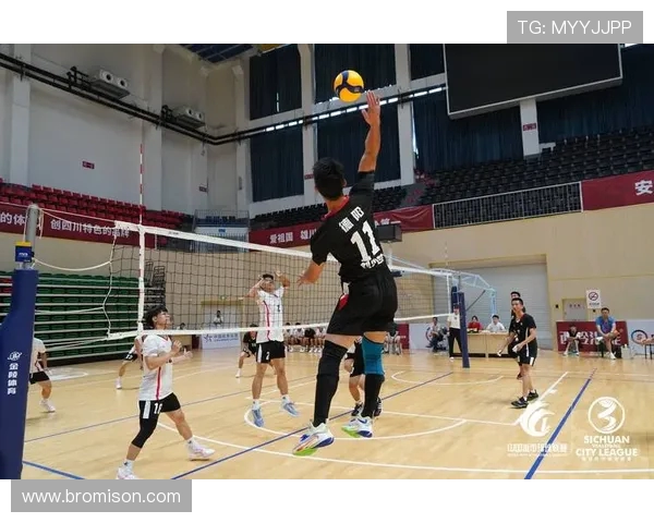 排球盛宴：深入成都排球队的训练与比赛节奏揭秘